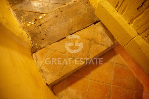 Panorama e Particolari