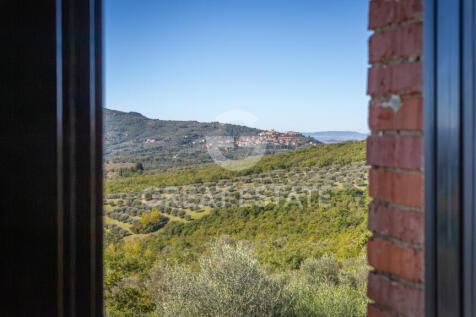 Panorama e Particolari