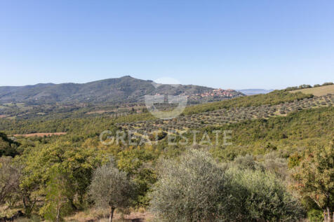 Panorama e Particolari