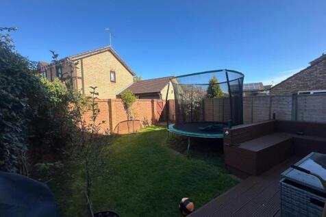 Garden.jpg