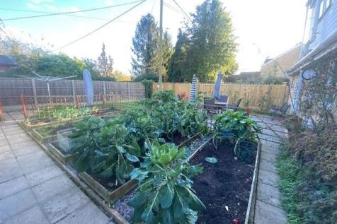 veg.jpg