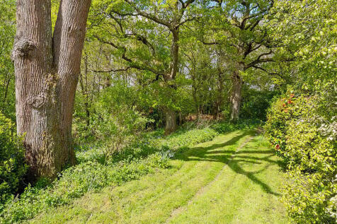 Property Image 25