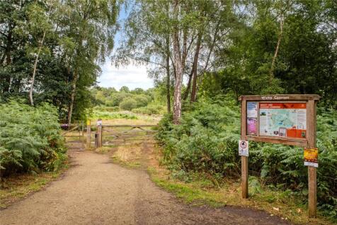 Wisley Woods