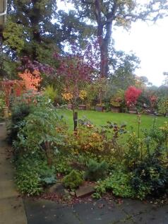 IMG_20231028_091656.jpg