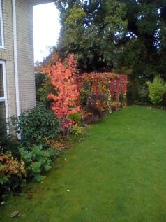 IMG_20231028_091711.jpg
