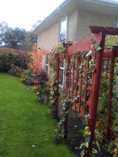 IMG_20231028_091750.jpg