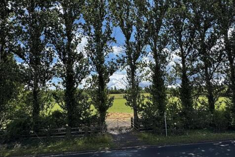 IMG_5617.JPEG