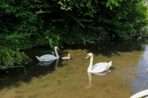 River Lea