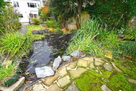 Pond