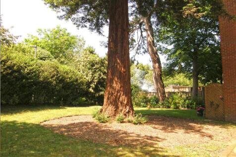 Communal Garden