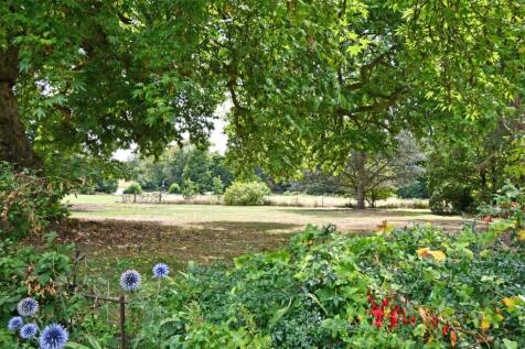 View From Garden
