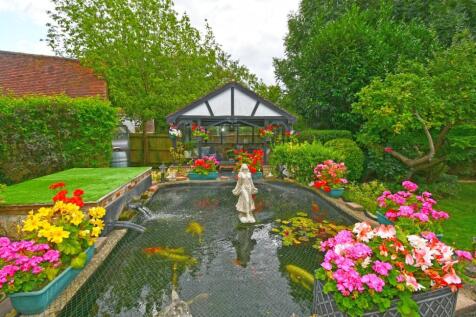 Raised Carp Pond