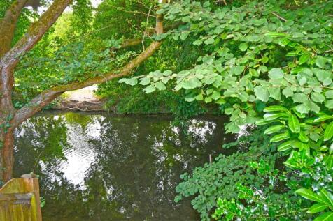 Mill Stream View
