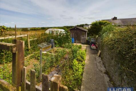 Vegetable Plot