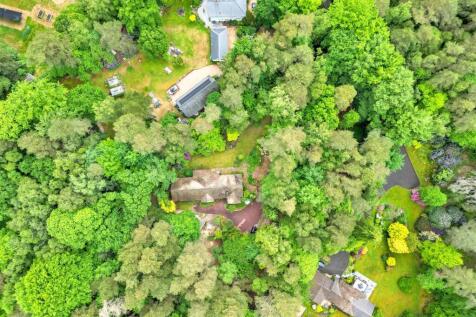 DJI_0457.jpg