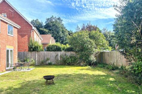 new garden.jpg