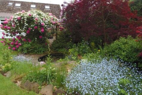 Pond Area