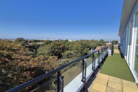 Roof Terrace Views