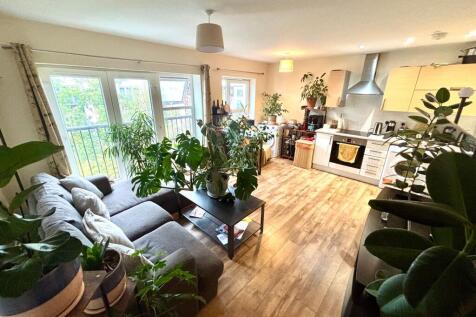 Open Plan Living Room &amp; Kitchen