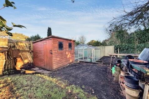 Back Garden