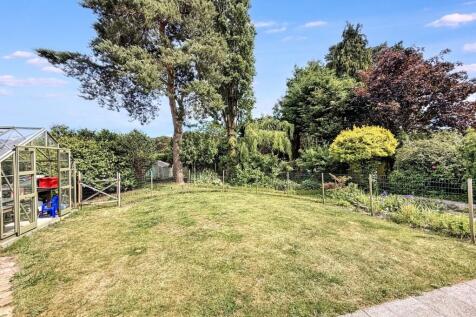 Back Garden
