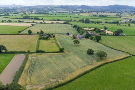 DJI_0407.jpg