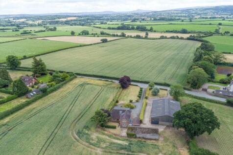 DJI_0409.jpg