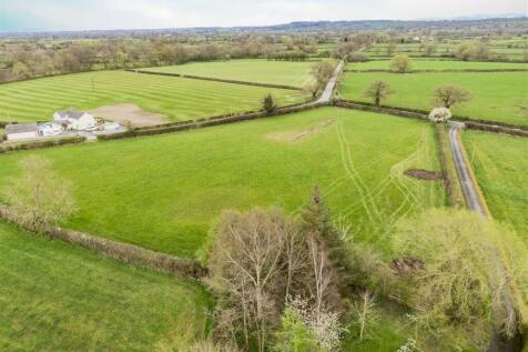 DJI_0279.jpg
