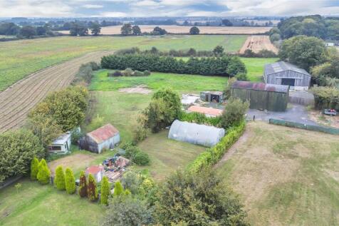 DJI_0783.jpg