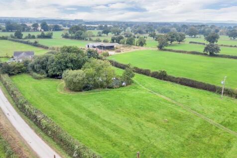 DJI_0771.jpg