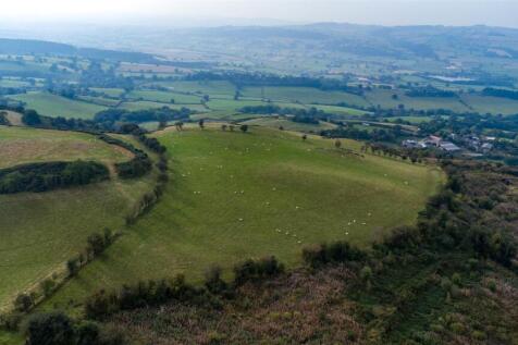 DJI_0647.jpg