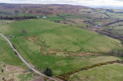 DJI_0544.jpg