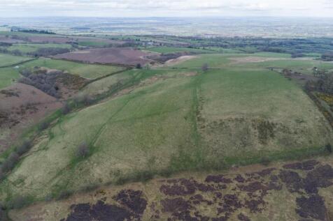 DJI_0548.jpg