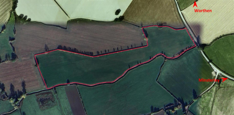 Site Plan.png