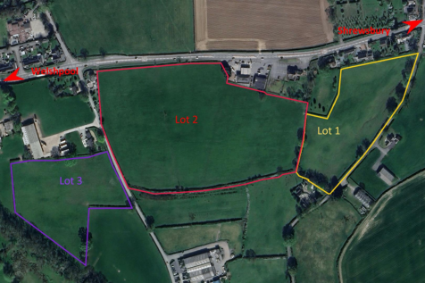 Site Plan.png