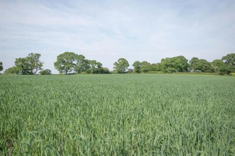 Lot 3 Land