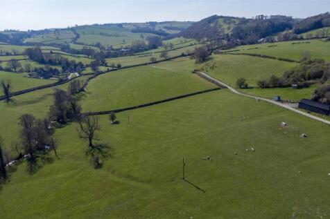 DJI_0625.jpg