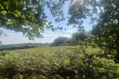 LOT 2 VIEW