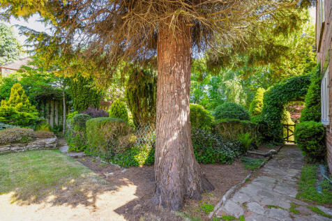 Property Image 50