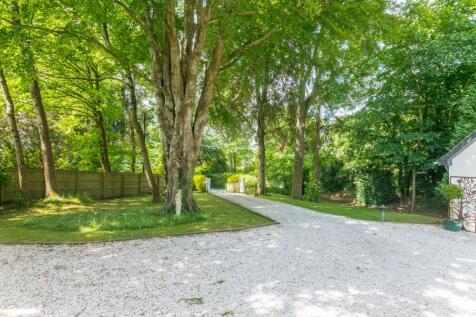 Property Image 32