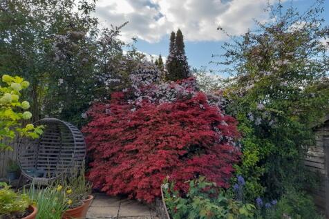 Property Image 20