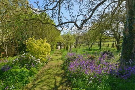 Property Image 24