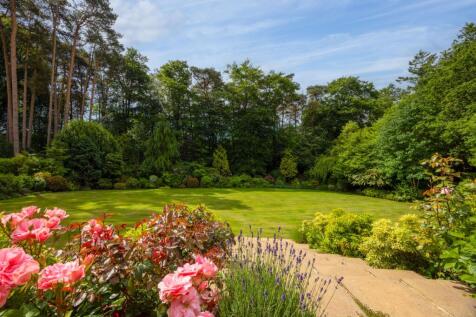 Property Image 27