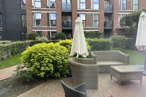 IMG_3992.JPEG