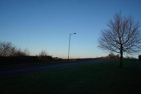 DSC06292.JPG