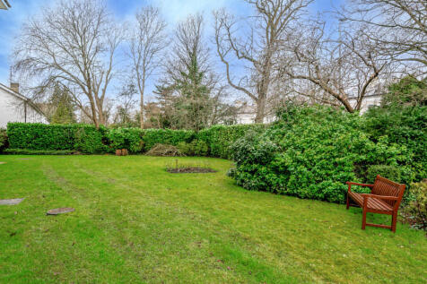 Communal Garden