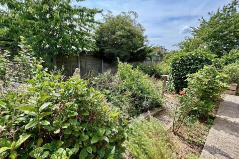 Side Garden