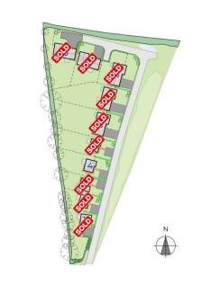 Site Layout