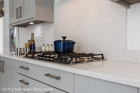 CG Fry Nansledan Show Home