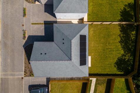 Large sunny plot